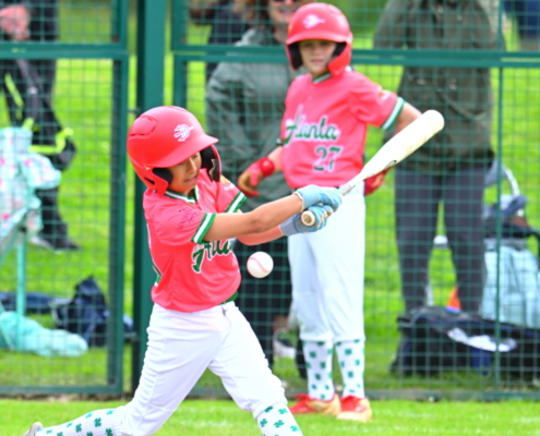 North Decatur Youth Sports v Irish Baseball Academy U12s